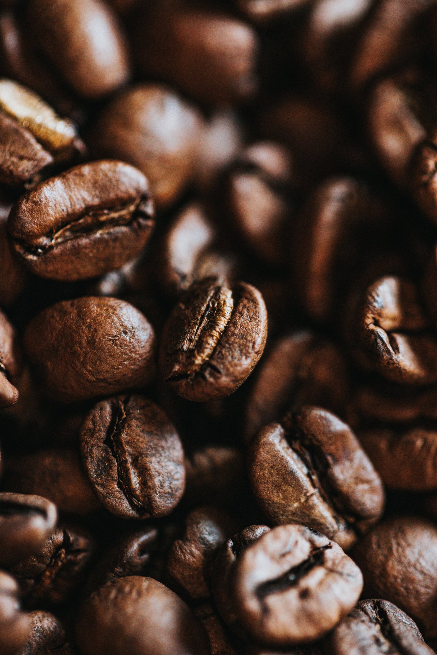 Cozy Colombian | 8oz-2lb